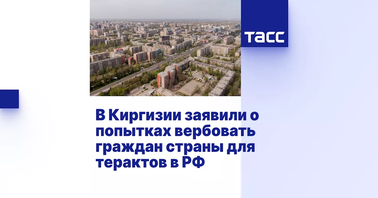 В Киргизии заявили о попытках вербовать граждан страны для терактов в РФ