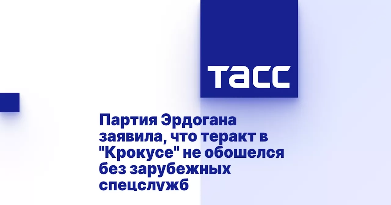 Партия Эрдогана заявила, что теракт в 'Крокусе' не обошелся без зарубежных спецслужб