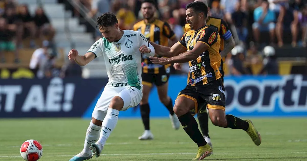 Palmeiras e Novorizontino decidem quem avança para a final do Paulistão