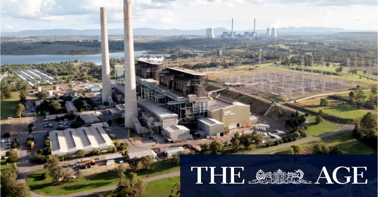 AGL and Cannon-Brookes want to build solar panels at former coal site