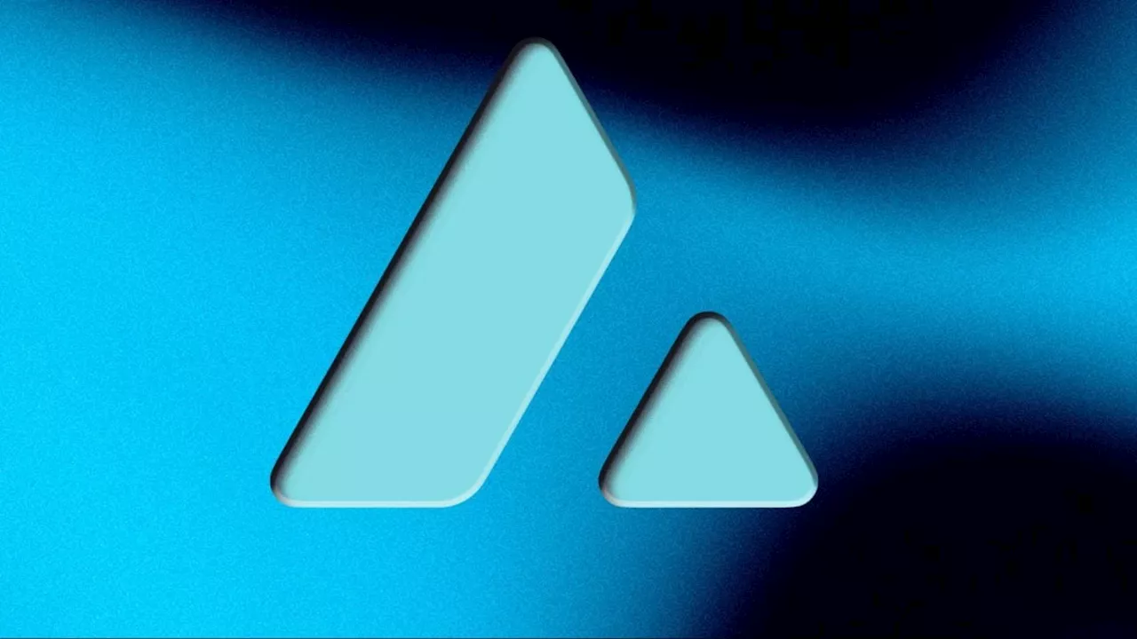 Avalanche's Codebase accelerator program chooses first cohort