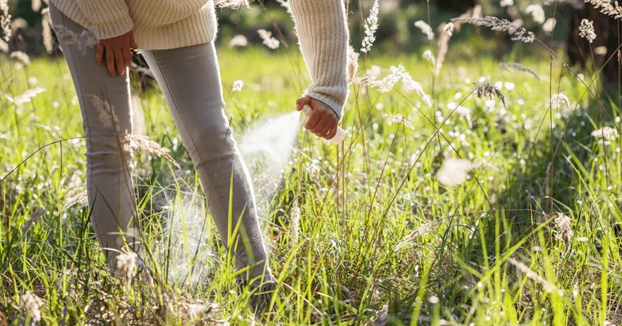 Best Kid-Safe Spray for Ticks - Today's Parent