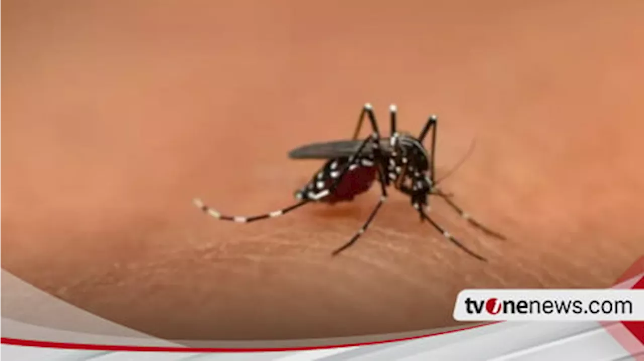 5 Orang Meninggal karena Malaria dan Puluhan Warga Positif di Simuk Nias Selatan