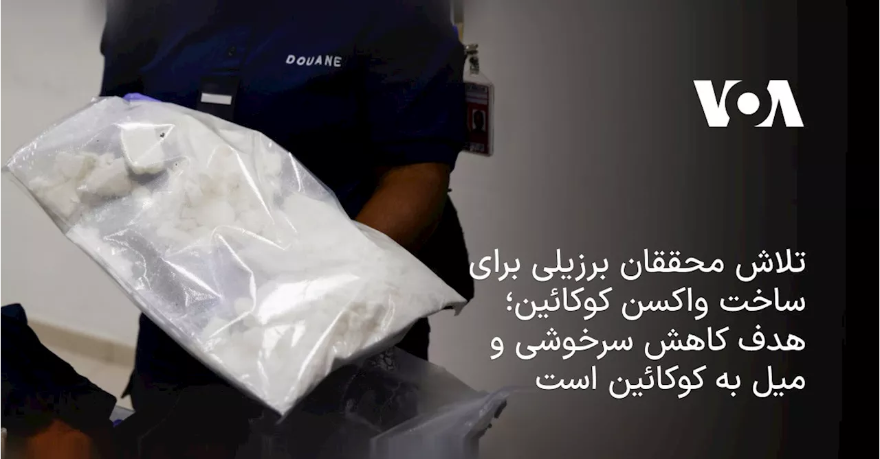 تلاش محققان برزیلی برای ساخت واکسن کوکائین؛ هدف: کاهش سرخوشی ناشی از مصرف