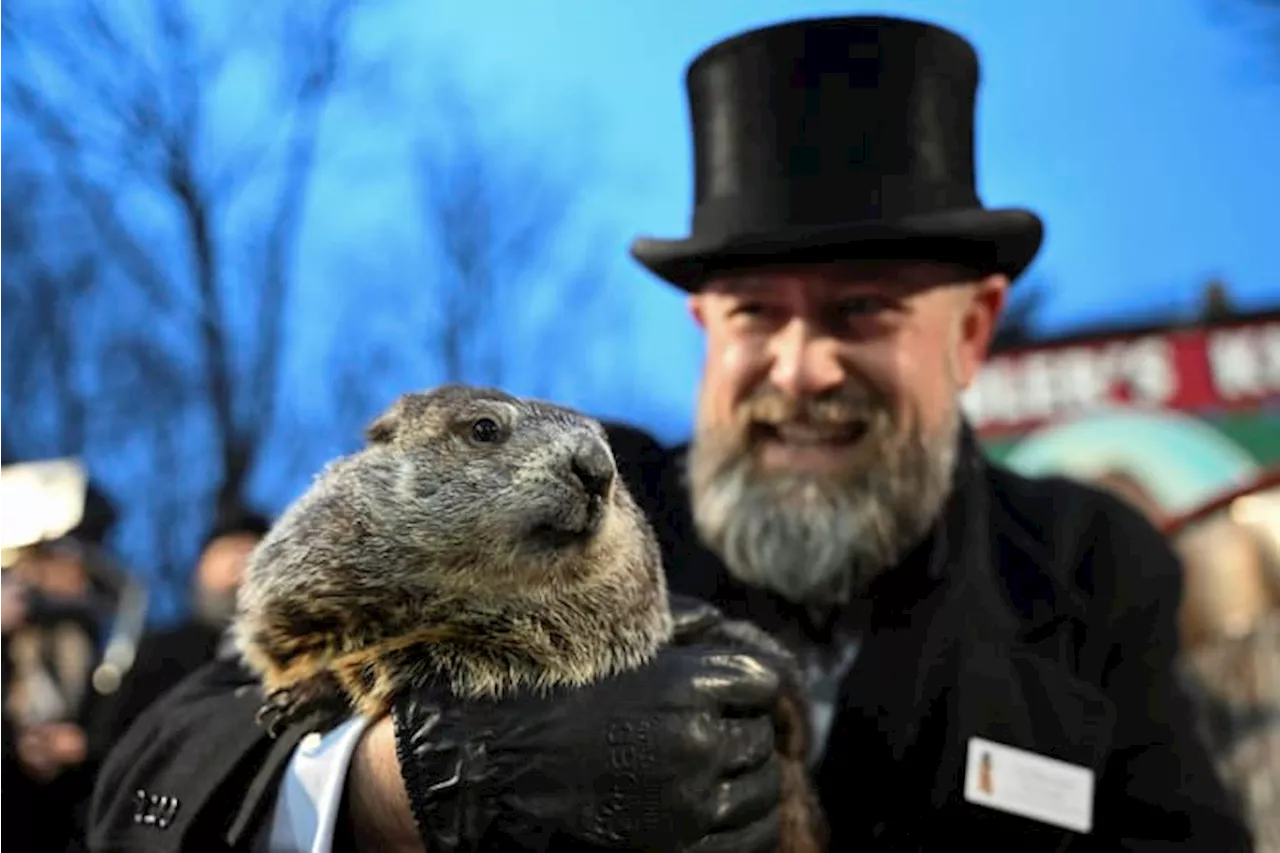 Punxsutawney Phil, the spring-predicting groundhog, and wife Phyliss are parents of 2 babies