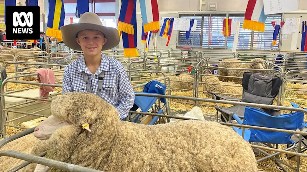 Heartfelt win at Sydney Royal Easter Show for ewe named in tribute to the late Ally Jaffrey