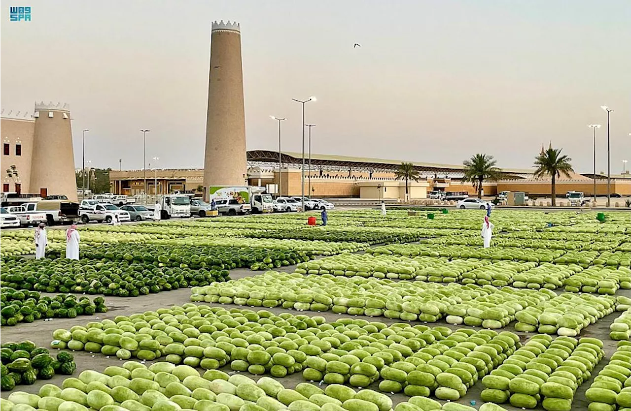 البيئة: إنتاج البطيخ المحلي 624 ألف طن ونسبة الاكتفاء الذاتي 99%