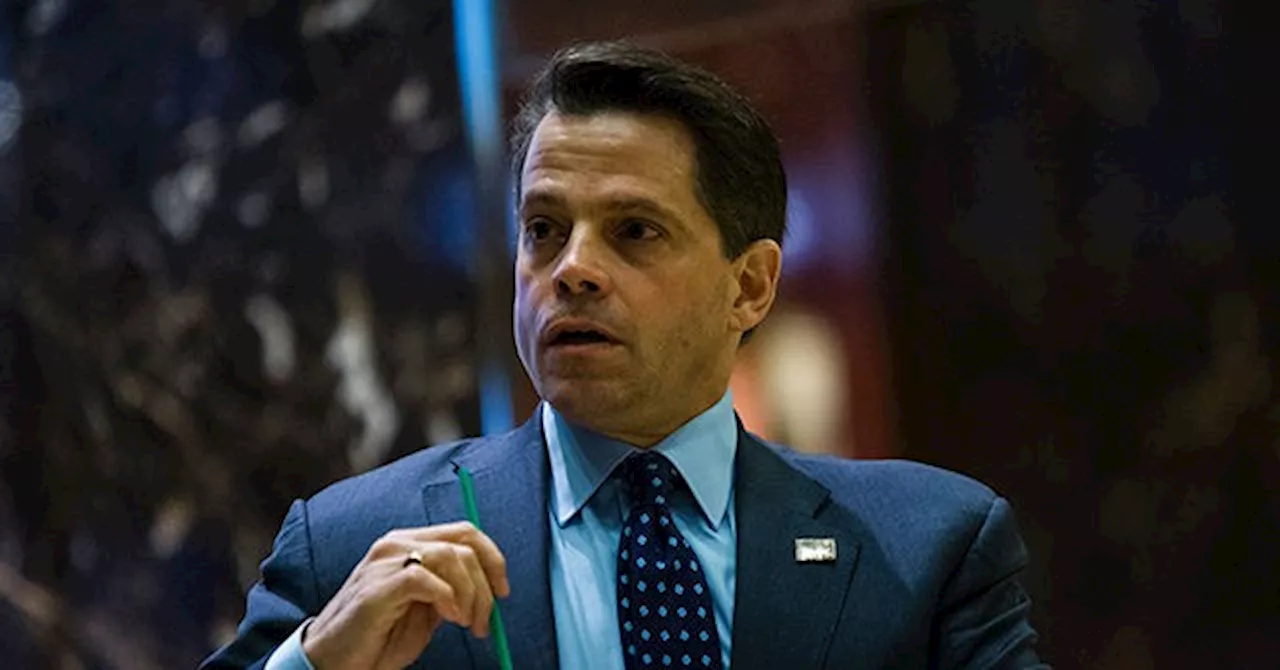 Scaramucci: We Have to Make Sure Republicans Either Don’t Vote or Vote for Biden