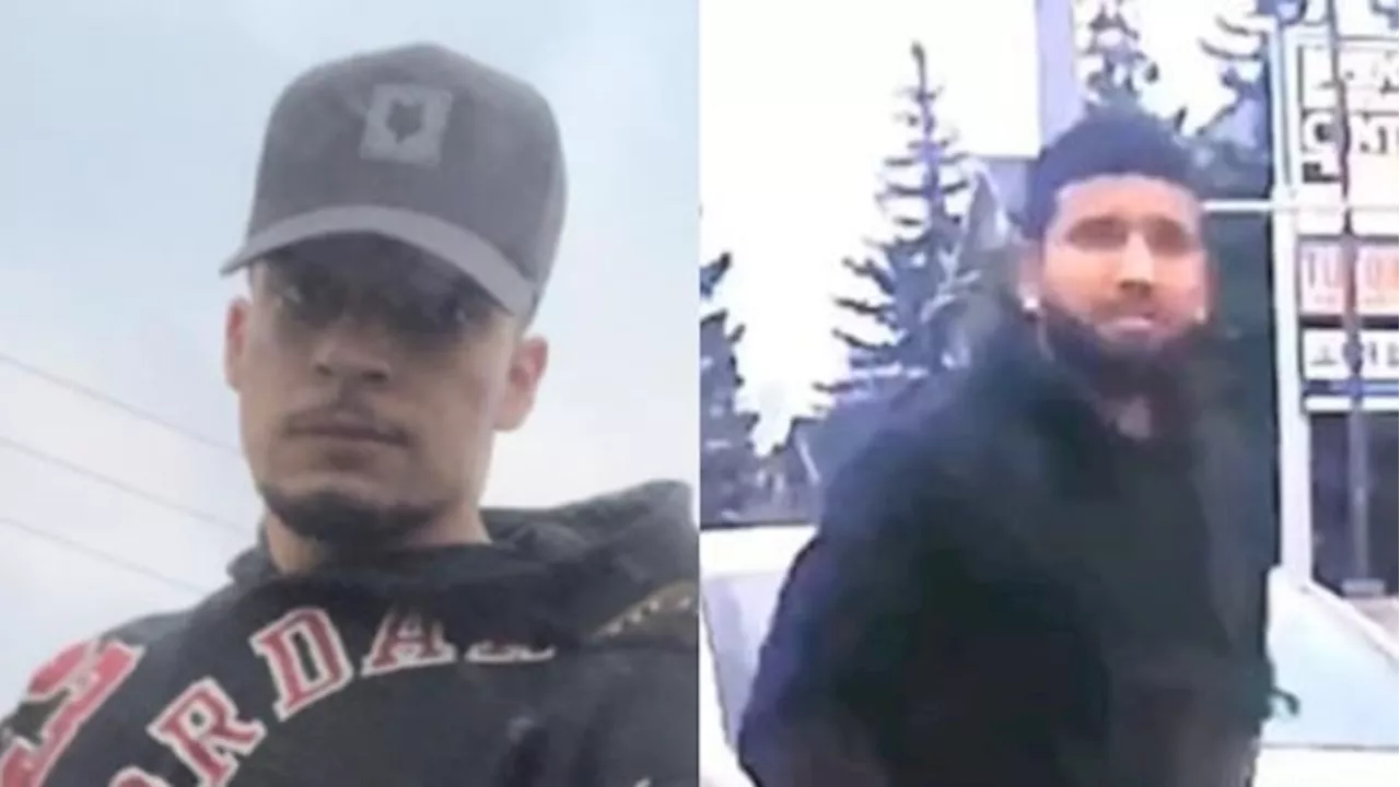 Police search for Brampton road rage suspects