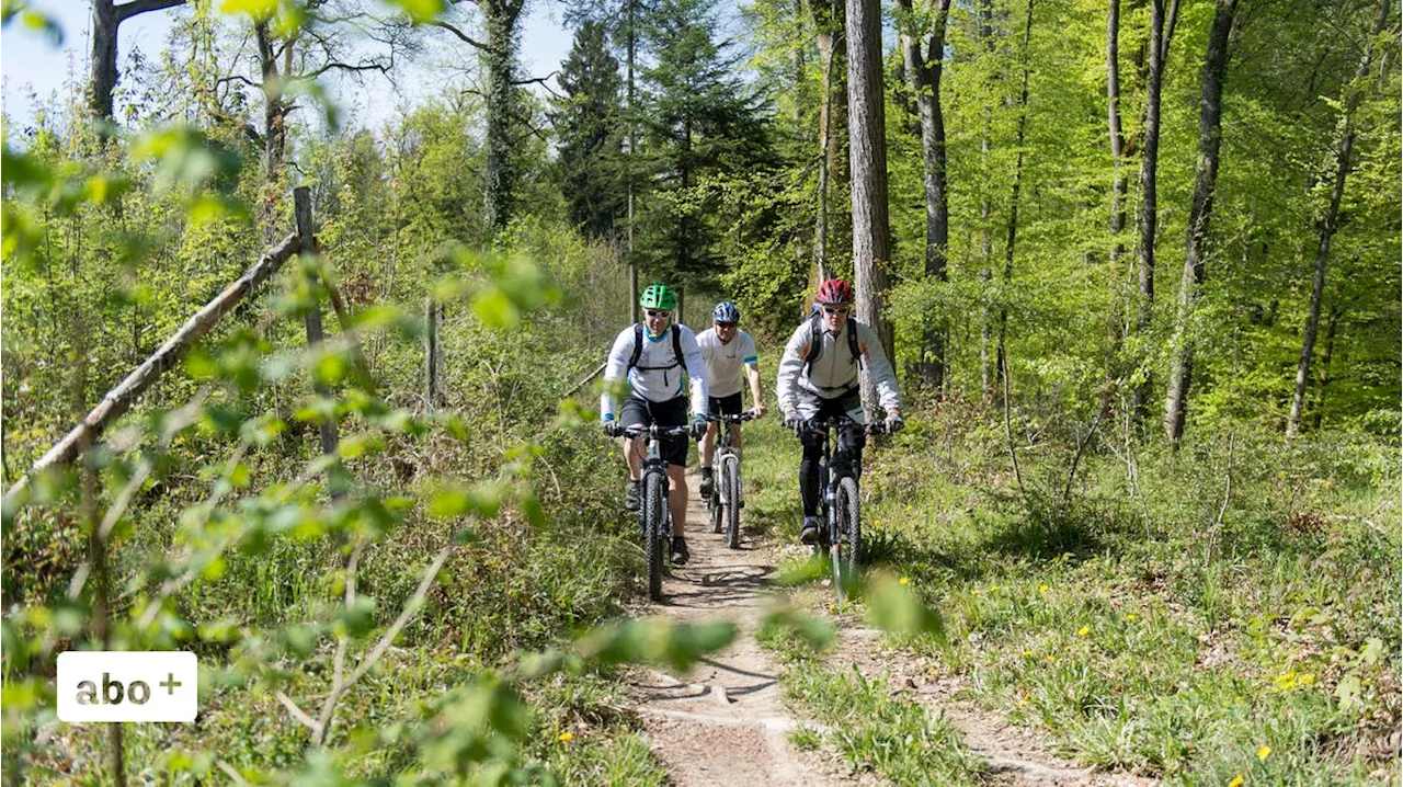 Jäger planen Einsprache gegen Biketrail – wollen das Projekt aber eigentlich gar nicht bekämpfen