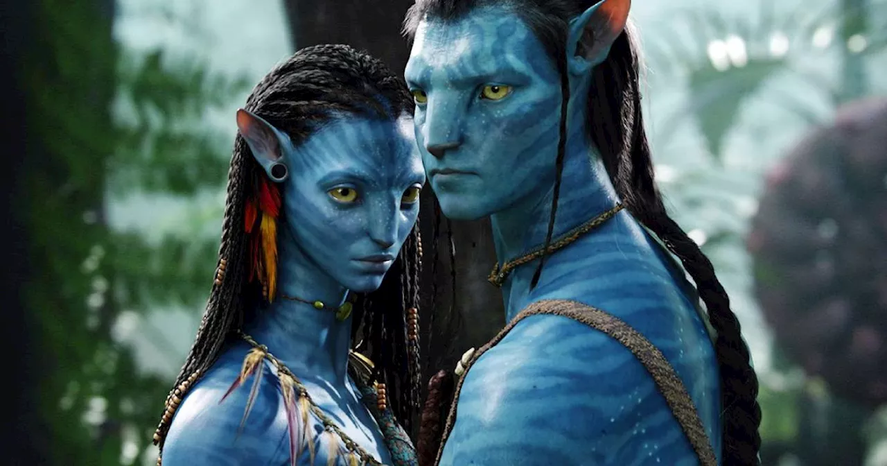 Avatar 3 Update Given by Zoe Saldaña, Recently Did Pickup Shots