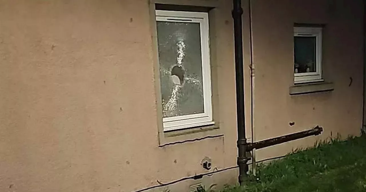 Balaclava-clad thugs launch bricks through windows on quiet Scots street