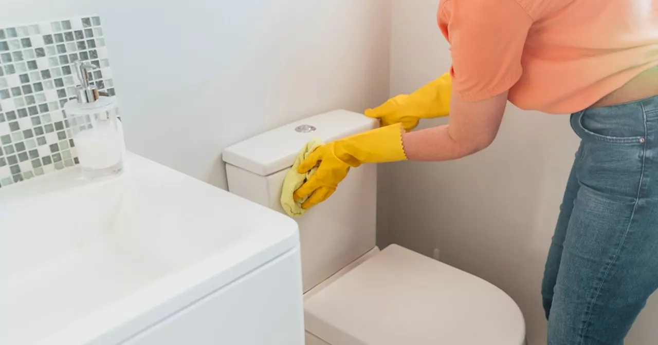 Mrs Hinch fans share three cheap ways to get rid of yellow toilet seat stains