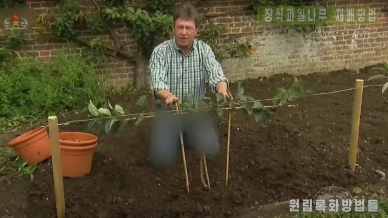 Why North Korea censored Alan Titchmarsh's jeans - and why dictators fear them even now