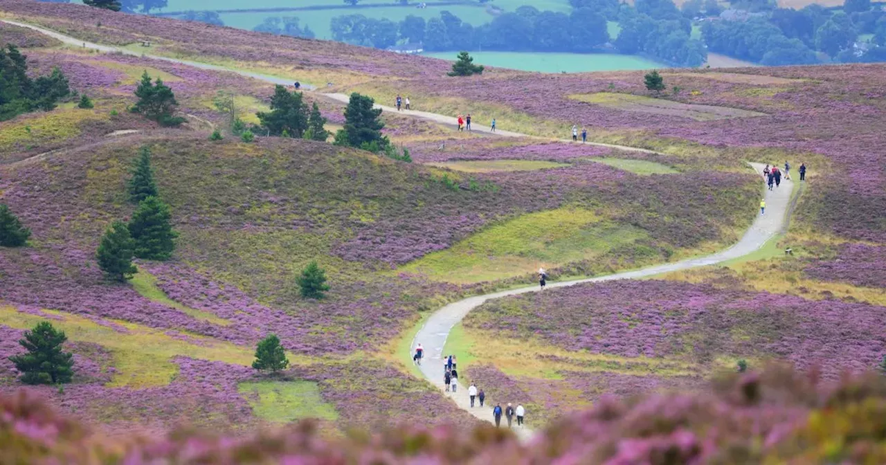 'Scouse mountain' perfect for an Easter climb that everyone in Merseyside visits