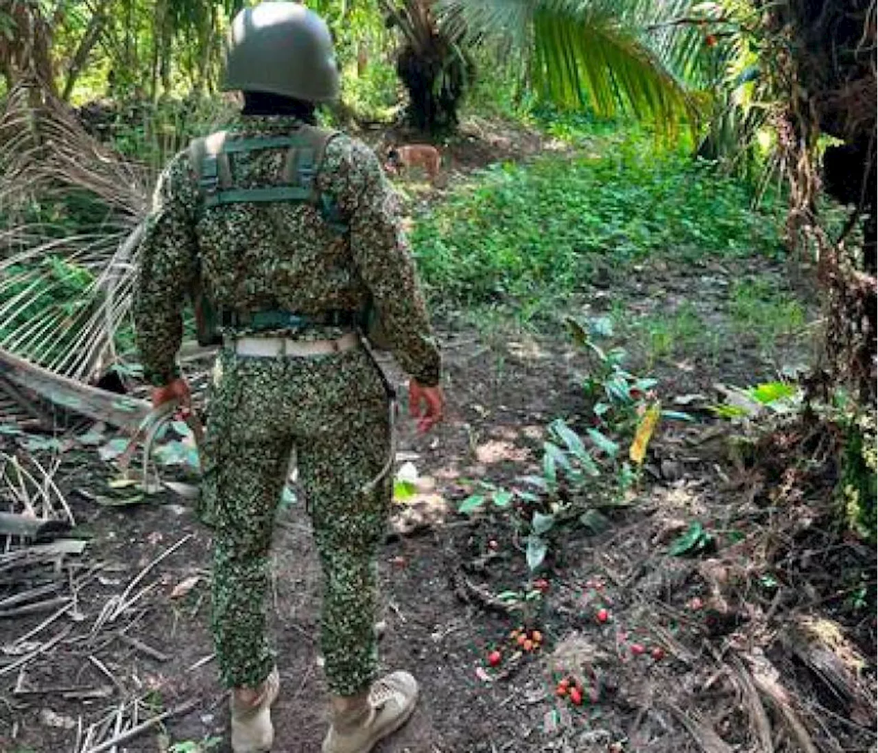 La Armada frustró un ataque con explosivos a la torre de energía de Tumaco