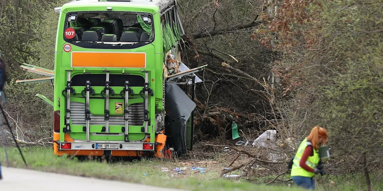 Die dubiose Firma hinter dem Todesbus: Ein „Umbrella“-Fahrer hatte 2,4 Promille