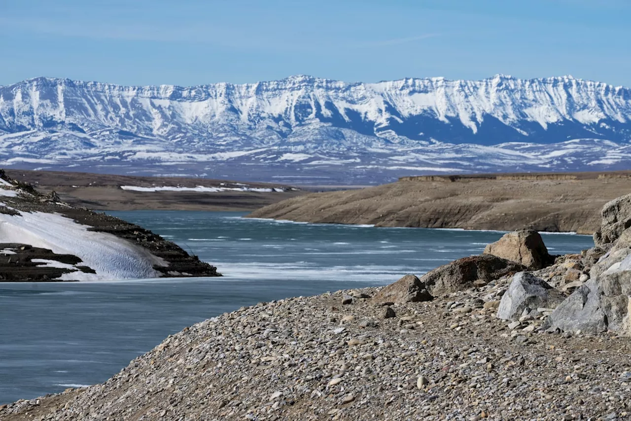 Thin snowpack in mountains of Alberta, B.C. forcing farmers to manage operations carefully this year