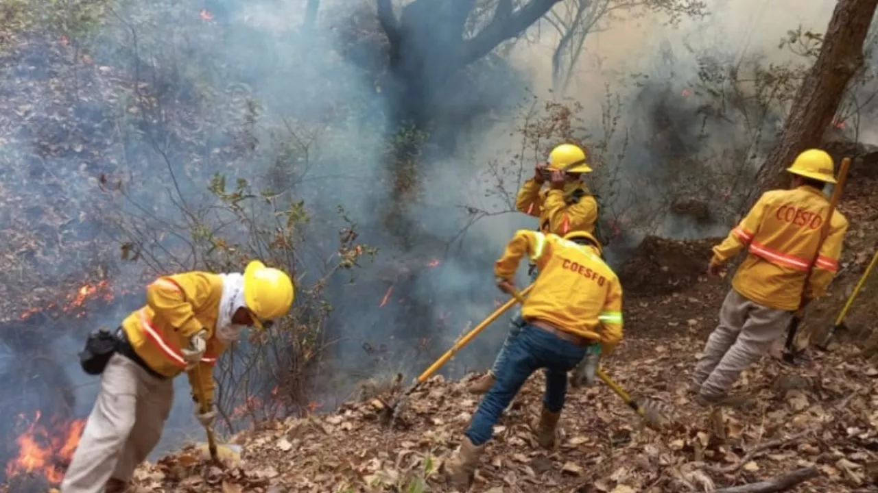 Autoridades en Oaxaca reportan 6 incendios forestales que están activos