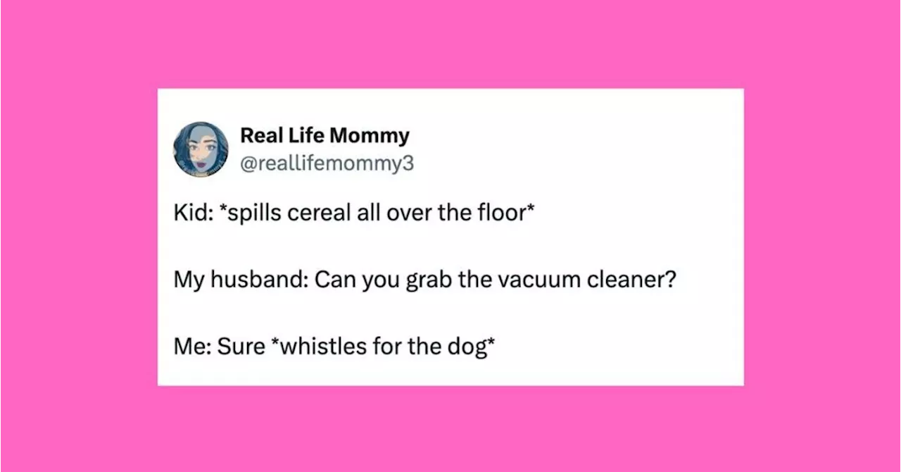 24 Of The Funniest Tweets About Cats And Dogs This Week (Mar. 23-29)