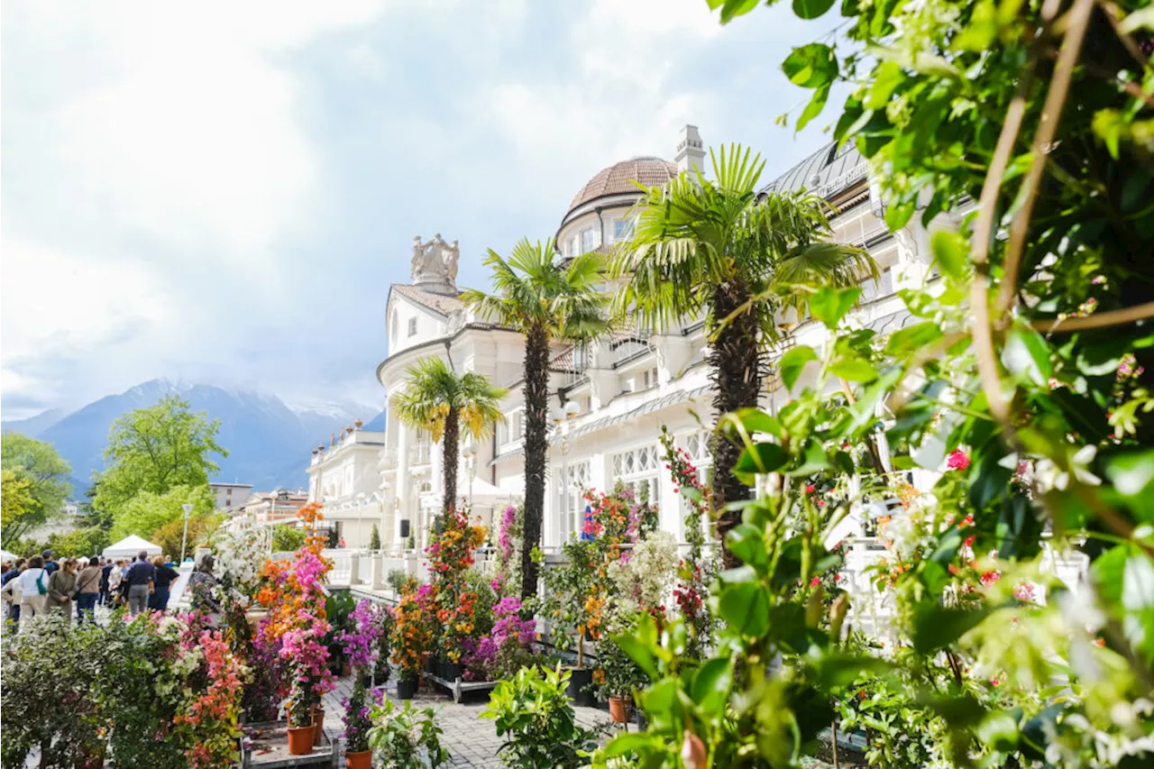 Weekend in Alto Adige: Merano, la grande bellezza in fiore