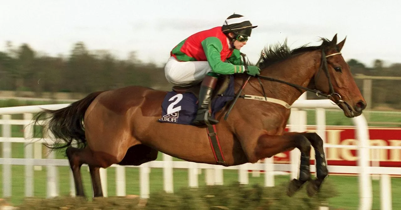 One of Ireland's most popular recent hurdlers and multiple Grade One winner dies