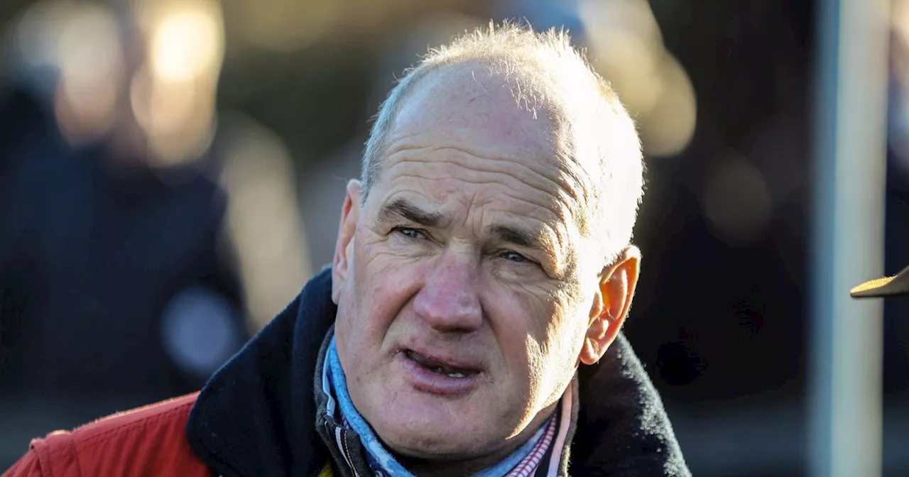 Seven-time Cheltenham winner and well known Irish trainer has licence suspended