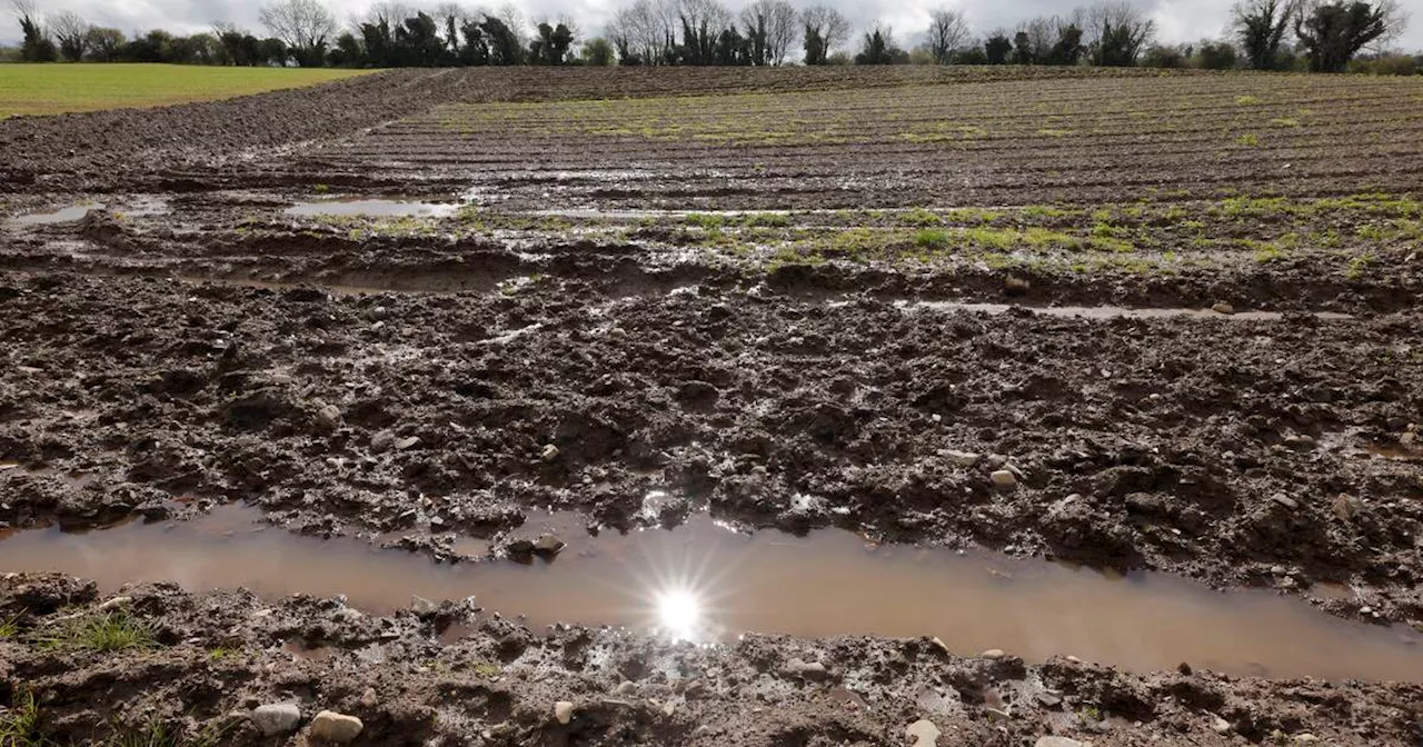 Late harvest and lower crop yields in store as rain delays planting