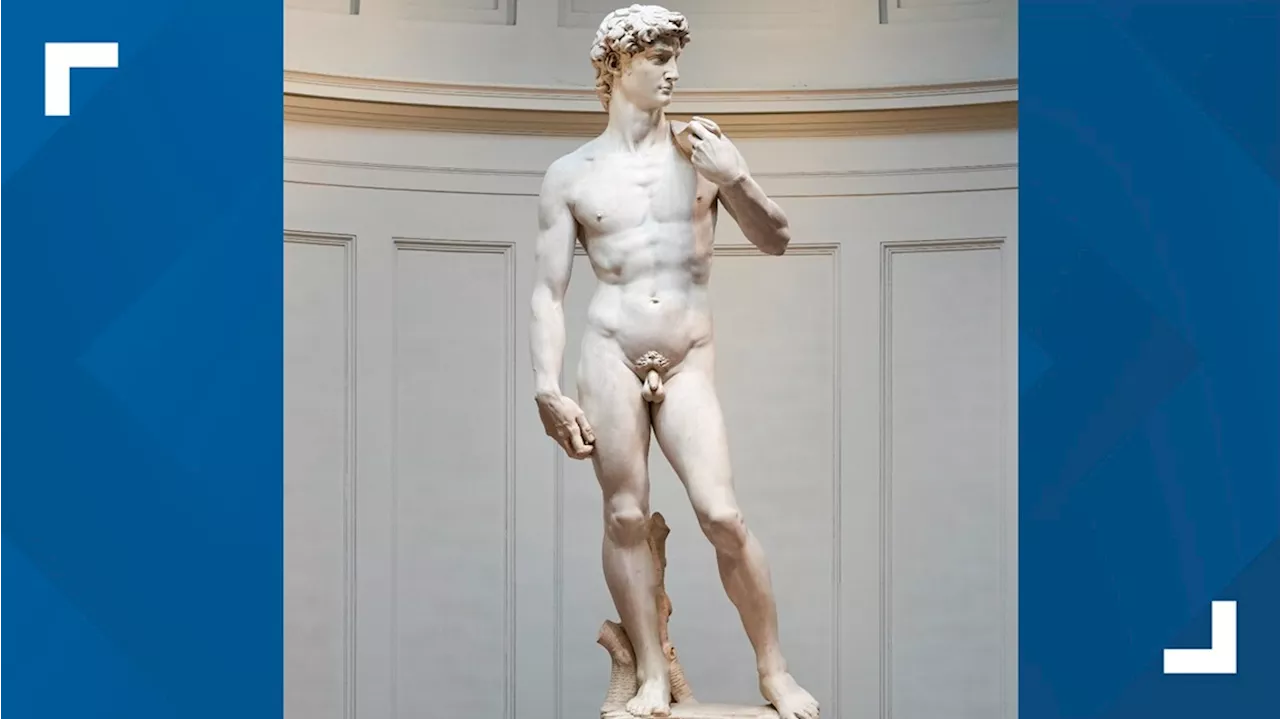 A fight to protect the dignity of Michelangelo's David raises questions about freedom of expression