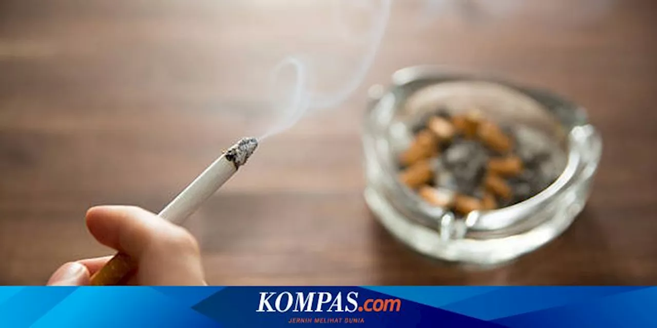 Studi Baru Ungkap Merokok Bisa Tingkatkan Lemak Perut, Apa Dampaknya?