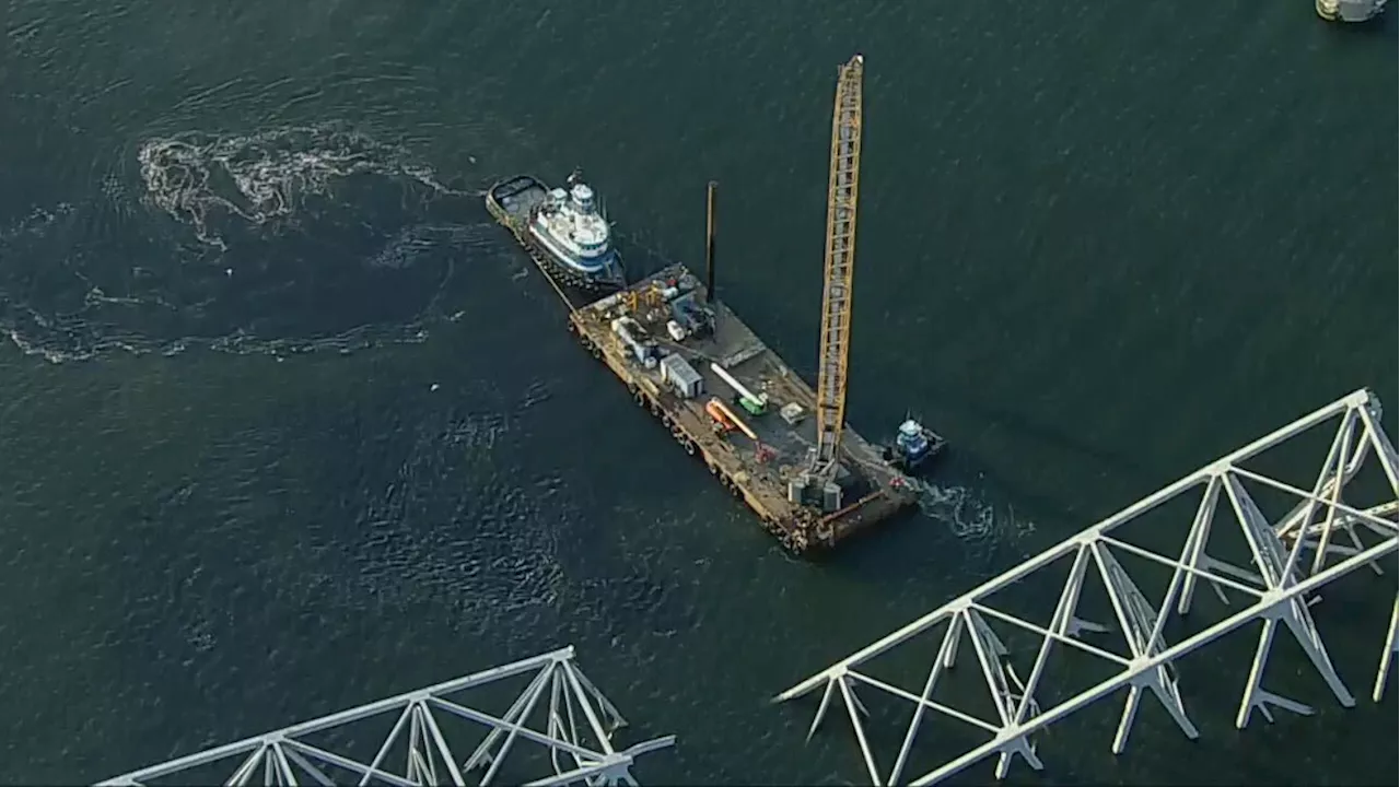 Eastern Shore's largest crane to clean up collapsed Baltimore Key Bridge