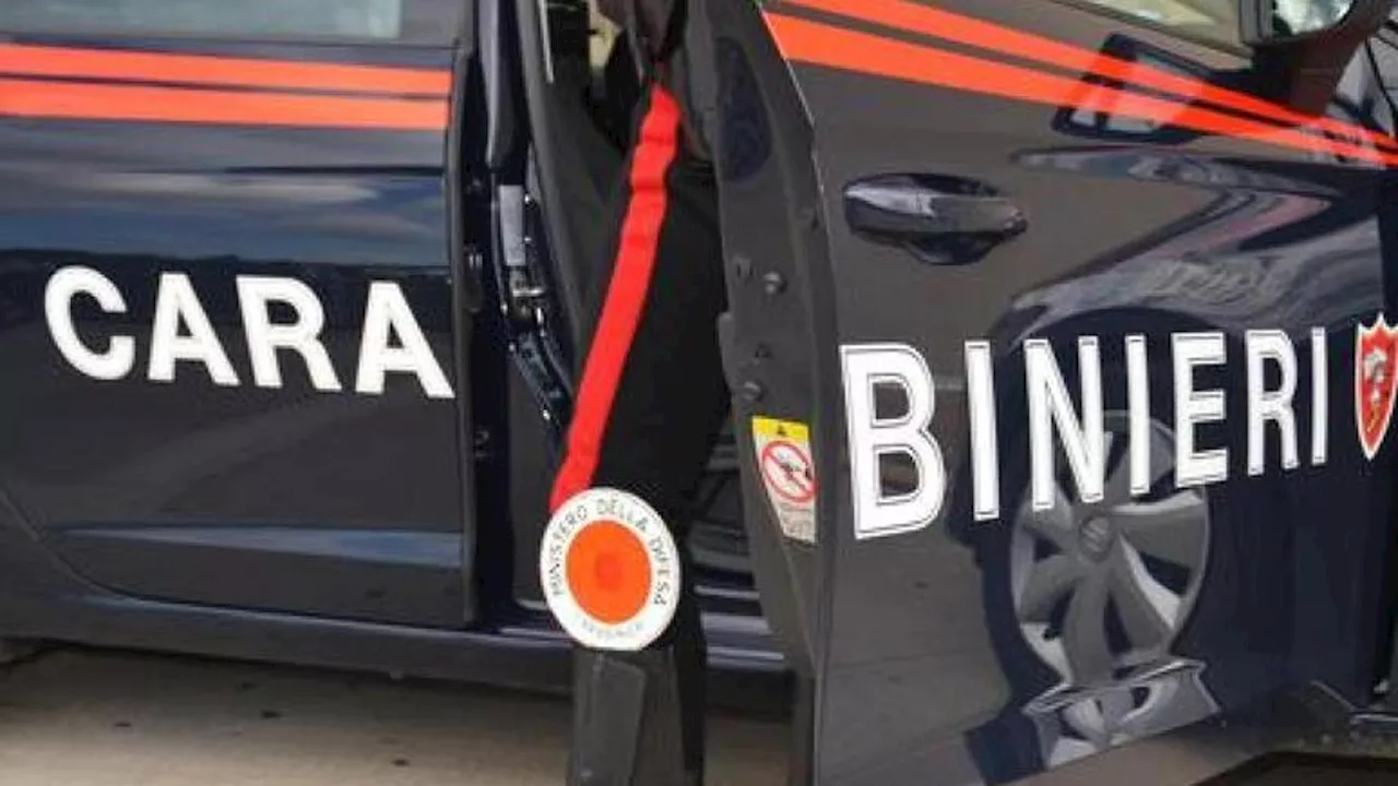 Picchia e violenta una donna dietro una siepe nel Milanese, arrestato