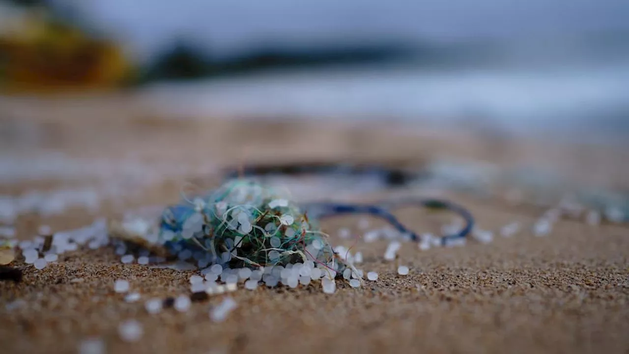 Ilmuwan Temukan Bukti Kontaminasi Mikroplastik pada Benda Peninggalan Sejarah