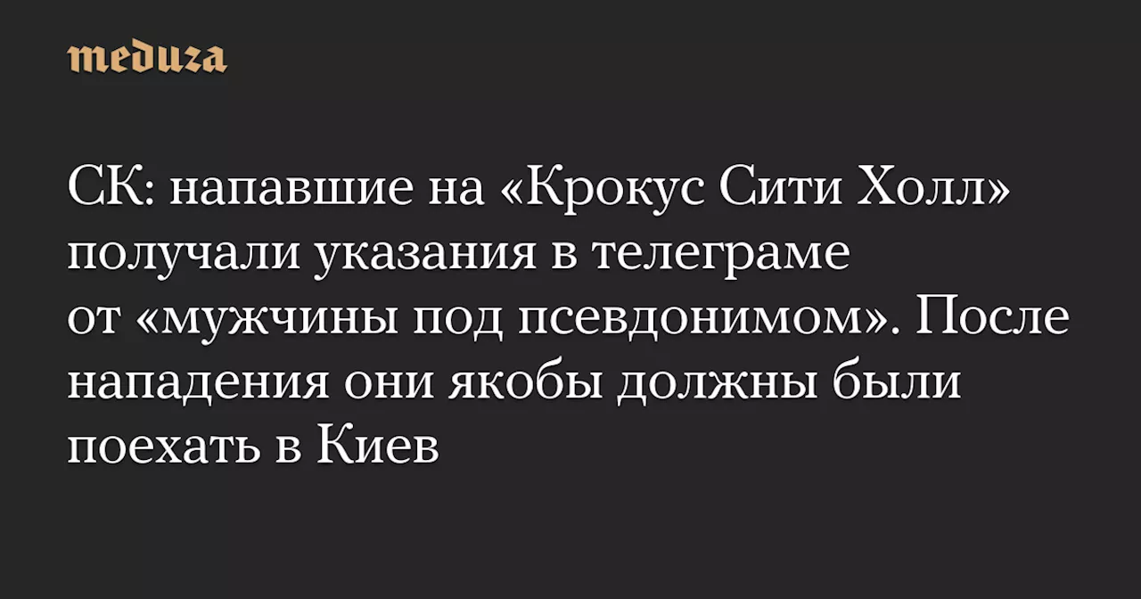 СК: напавшие на «Крокус Сити Холл» получали указания в телеграме от «мужчины под псевдонимом». После нападения они якобы должны были поехать в Киев — Meduza