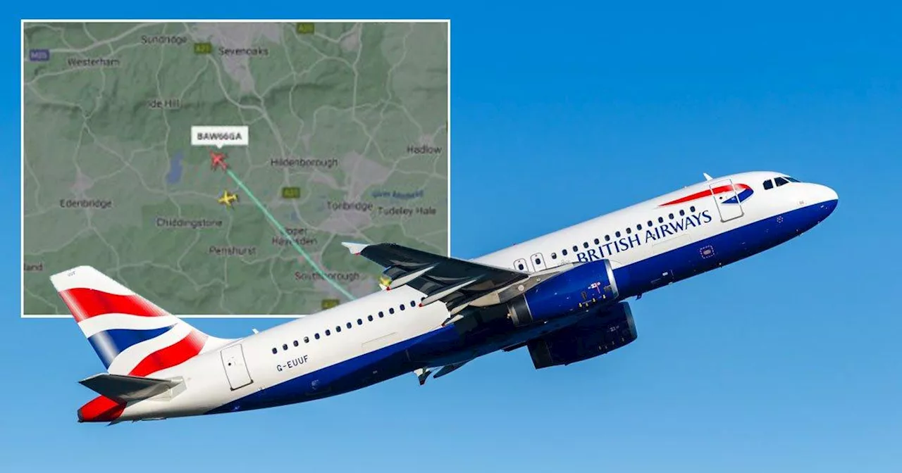 BA flight with 180 passengers on board misses 250mph crash with drone