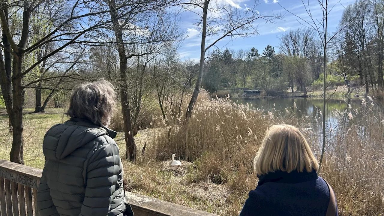 Sieben Geheimnisse der Hasenheide, die Sie nicht kannten