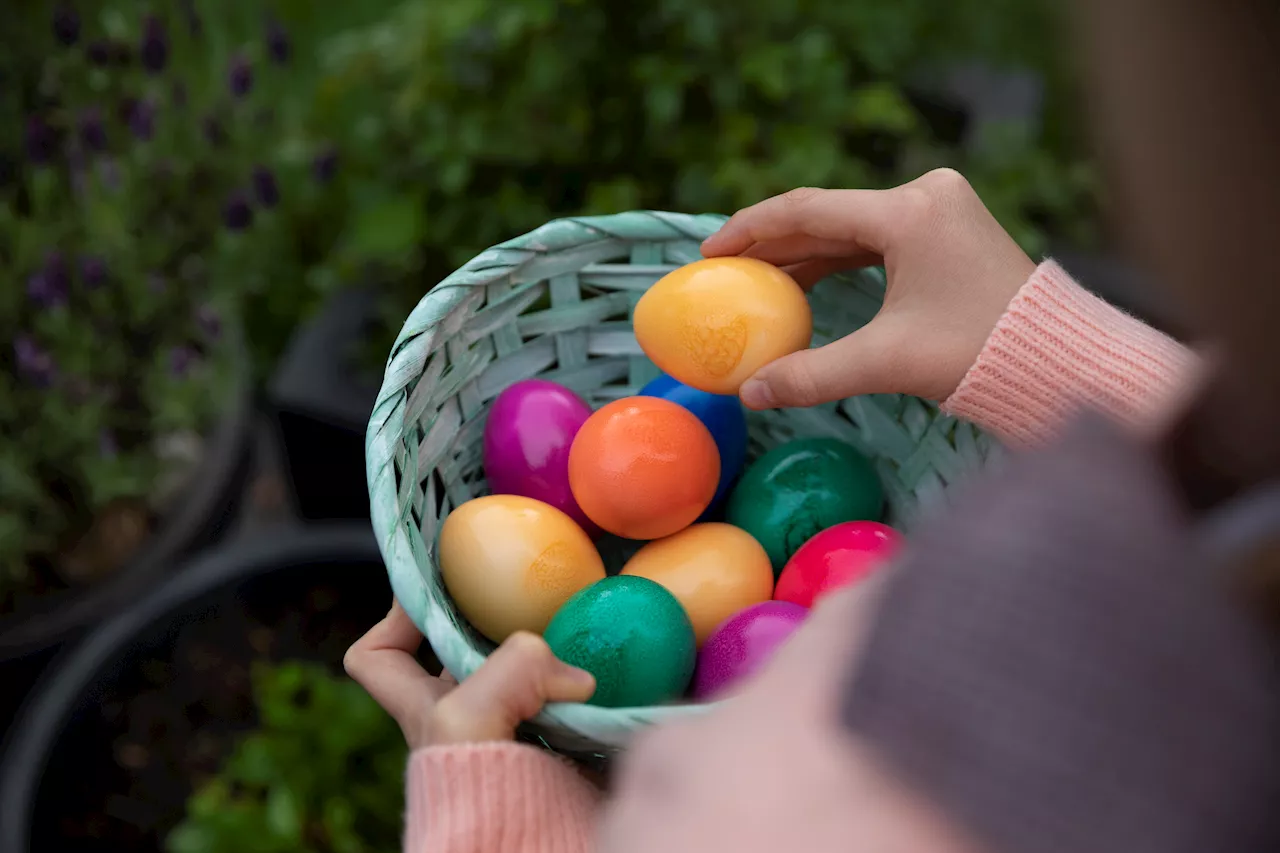 Where to find the Easter Bunny and Easter egg hunts in North Texas this weekend