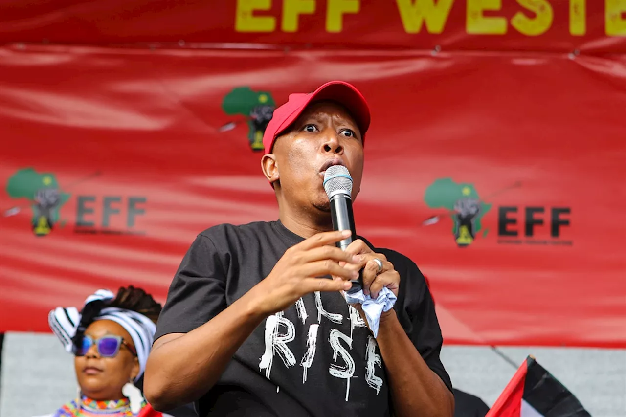 Malema doesn’t know how much bread costs, but it's not such a simple question