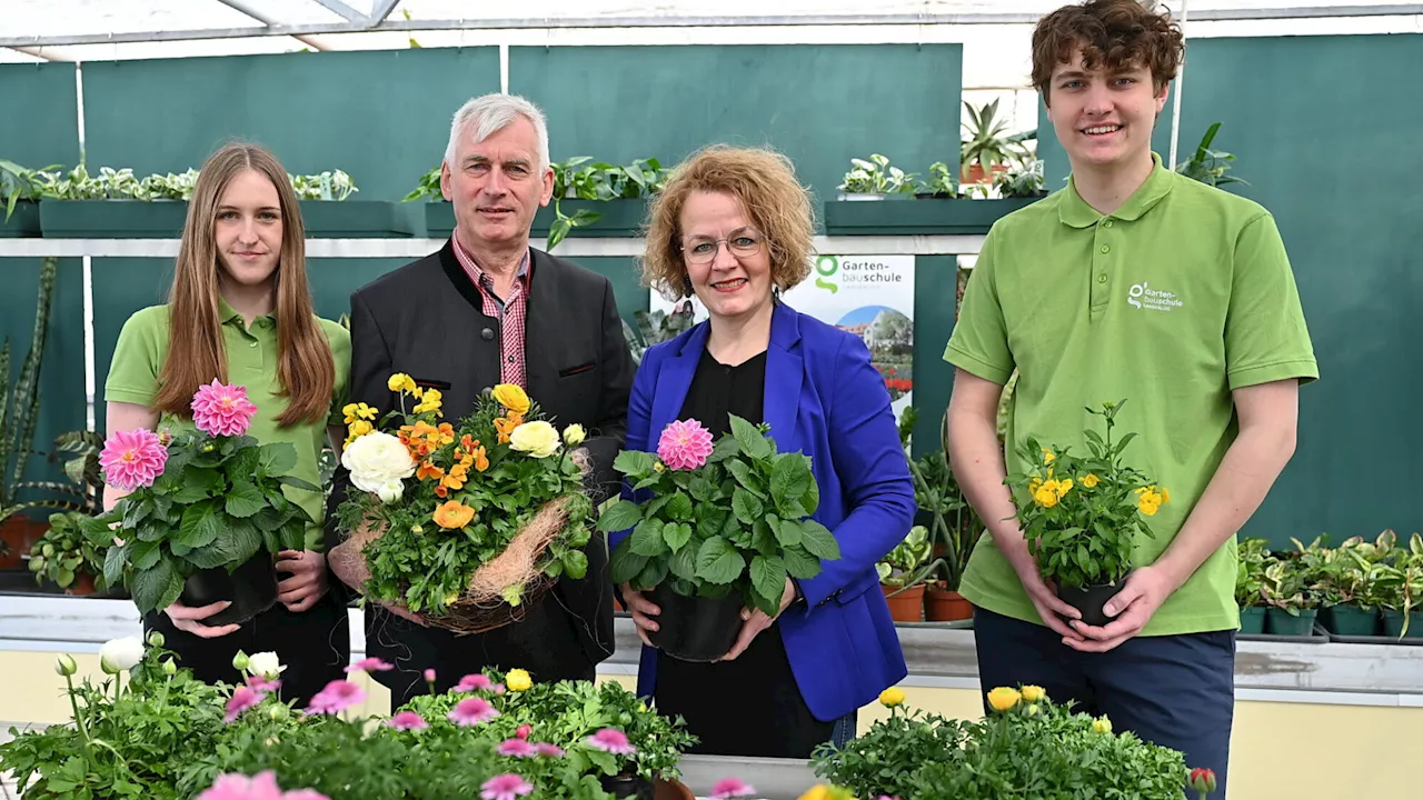 Langenlois: Farbenfrohe Floristik zum Osterfest