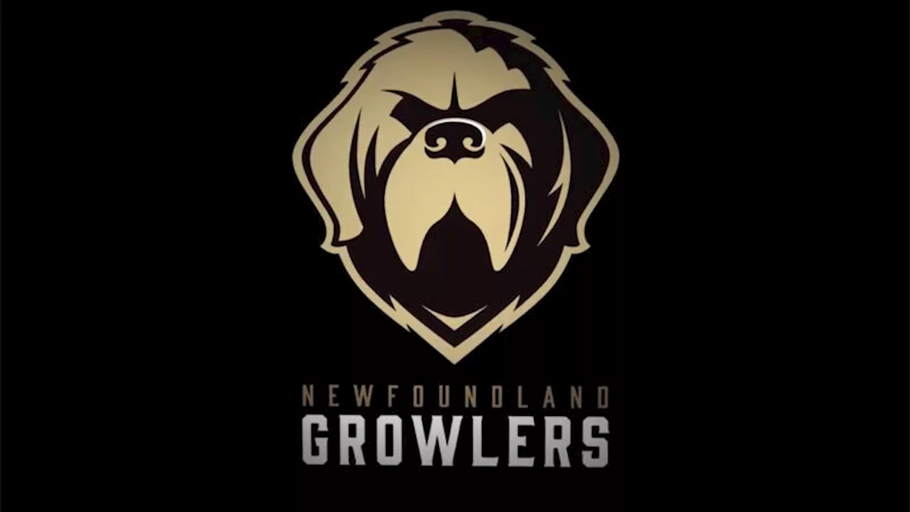 U.S.-born hockey star putting up big numbers for the Newfoundland Growlers