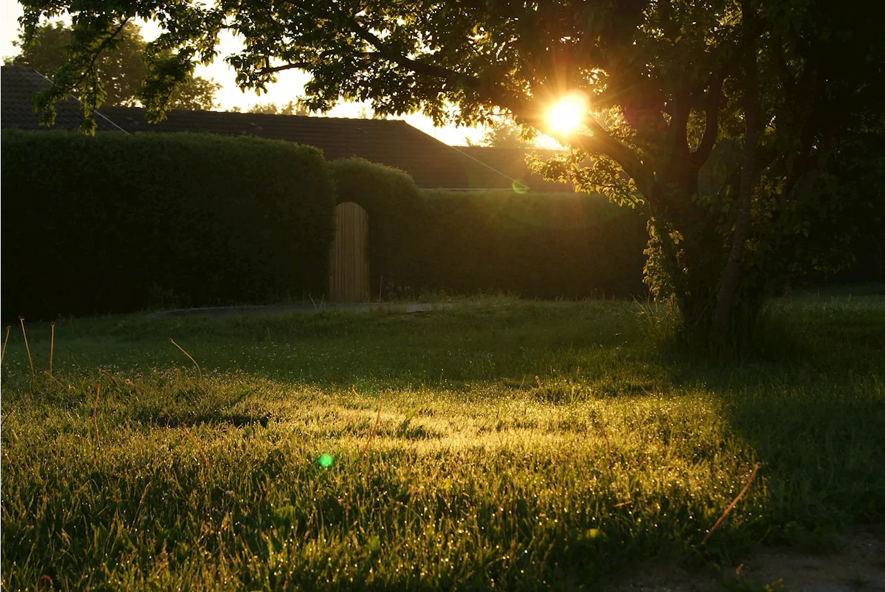 Researchers find WWI and WWII bombs in the ground are becoming more volatile