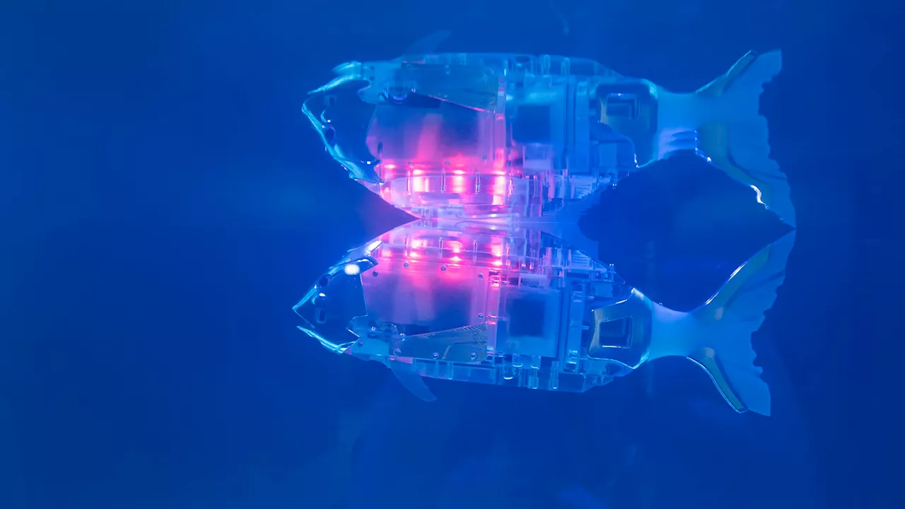 Get ready for the robotic fish revolution