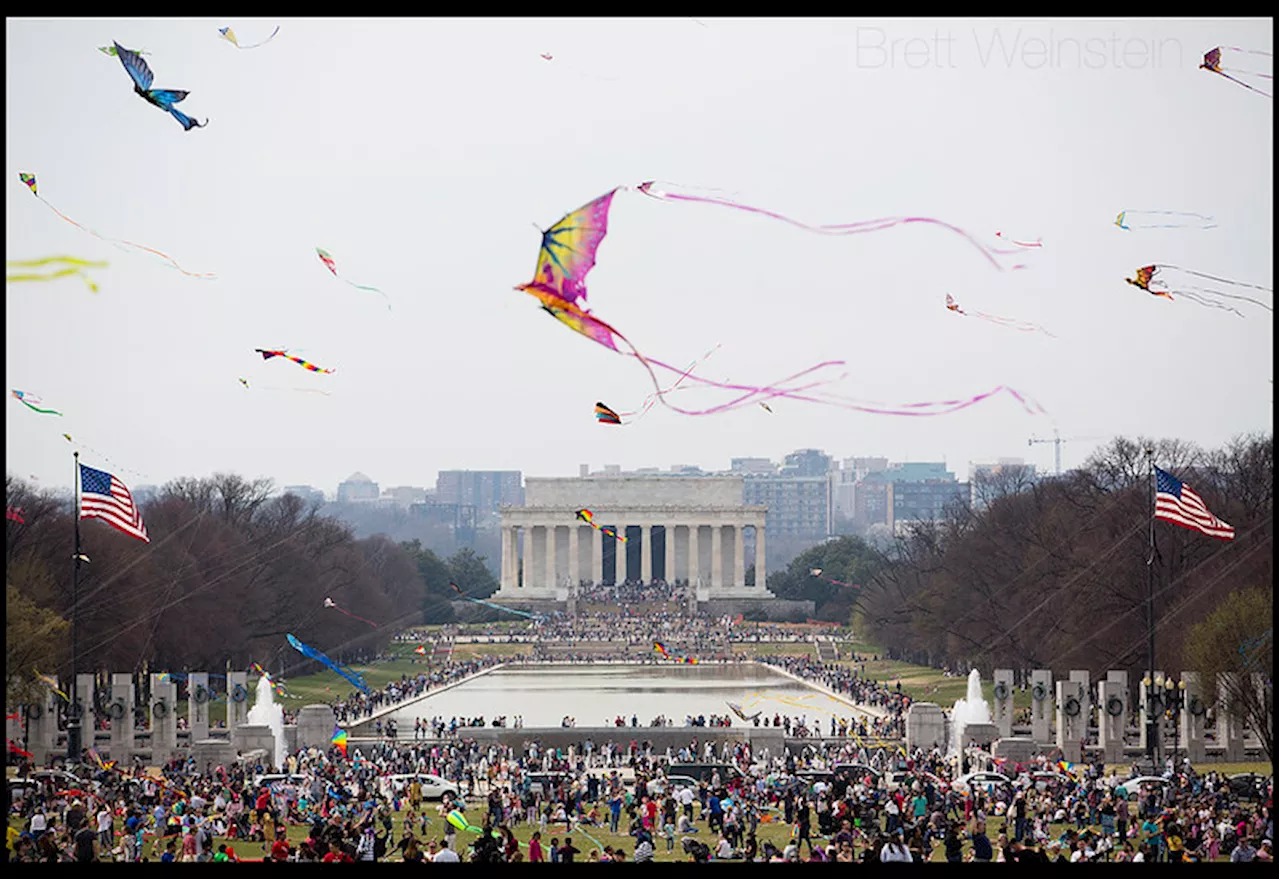 “SATURDAY: Blossom Kite Festival – National Cherry Blossom Festival”