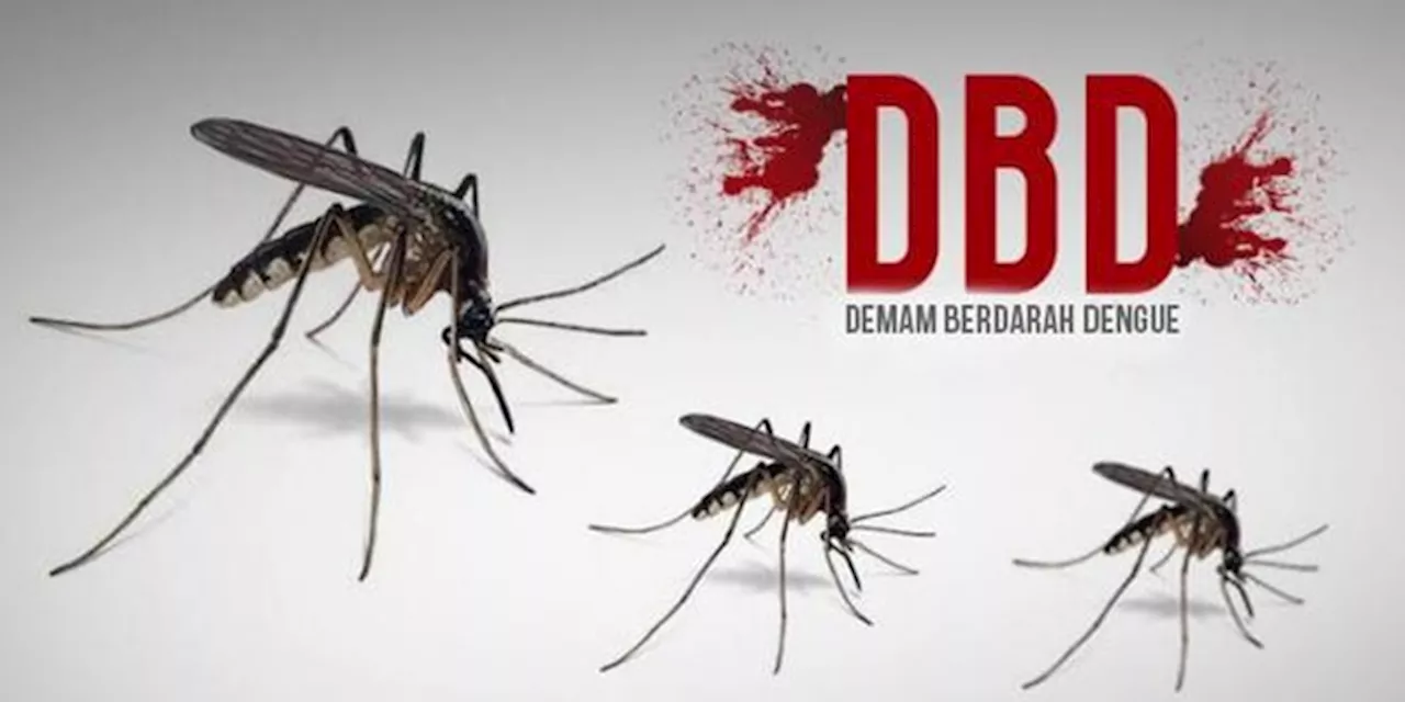 Pemkot Cimahi Ketar-ketir Hadapi Peningkatan Kasus DBD