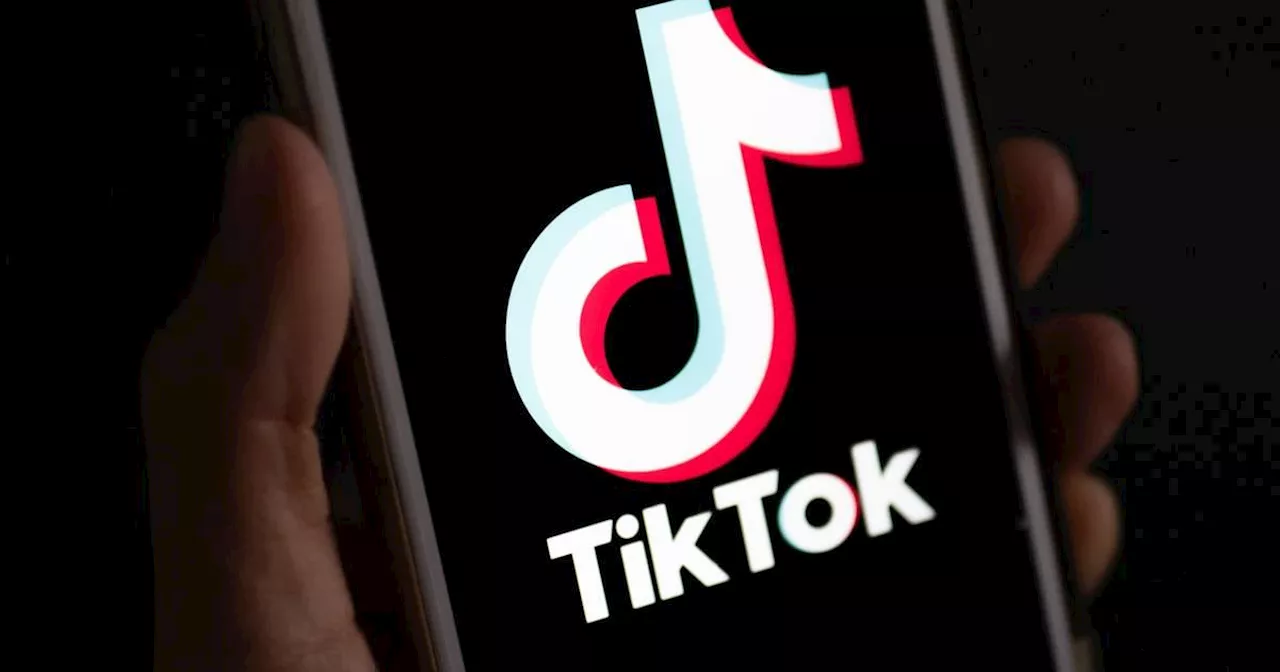 AfD erfolgreich bei TikTok - wird Generation TikTok zur Generation AfD?