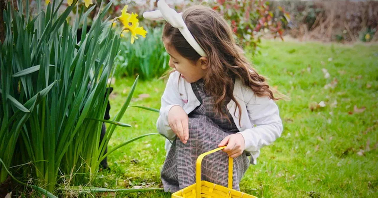 Met Eireann share grim weather forecast for Easter bank holiday weekend