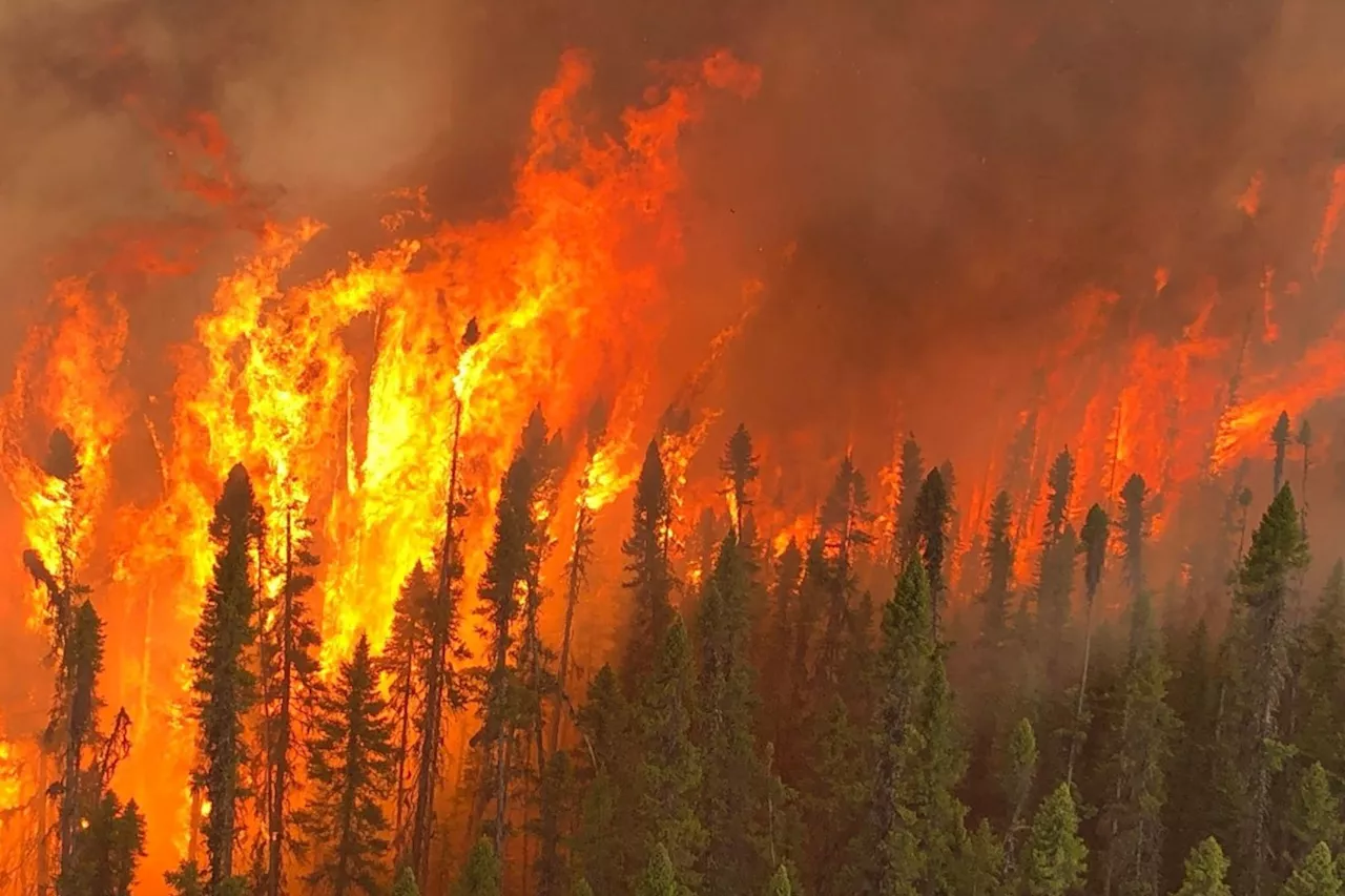 Lack of snow sparks potential for spring forest fires