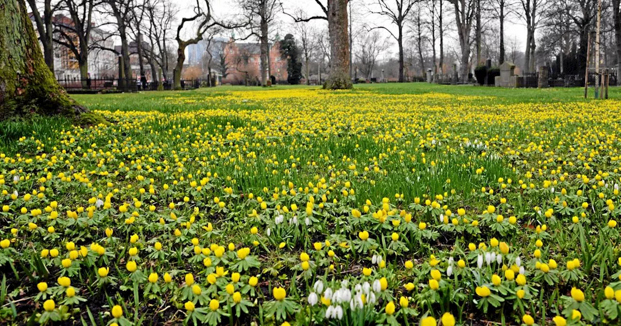 Påsken kommer med mildväder i västra Skåne