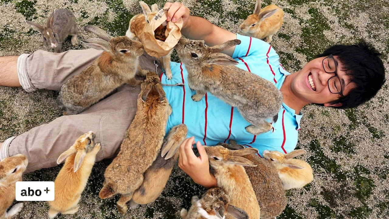 Auch Osterhasen brauchen mal Strand: Bei diesem Besuch in Japan gibt es eine geballte Ladung Niedlichkeit