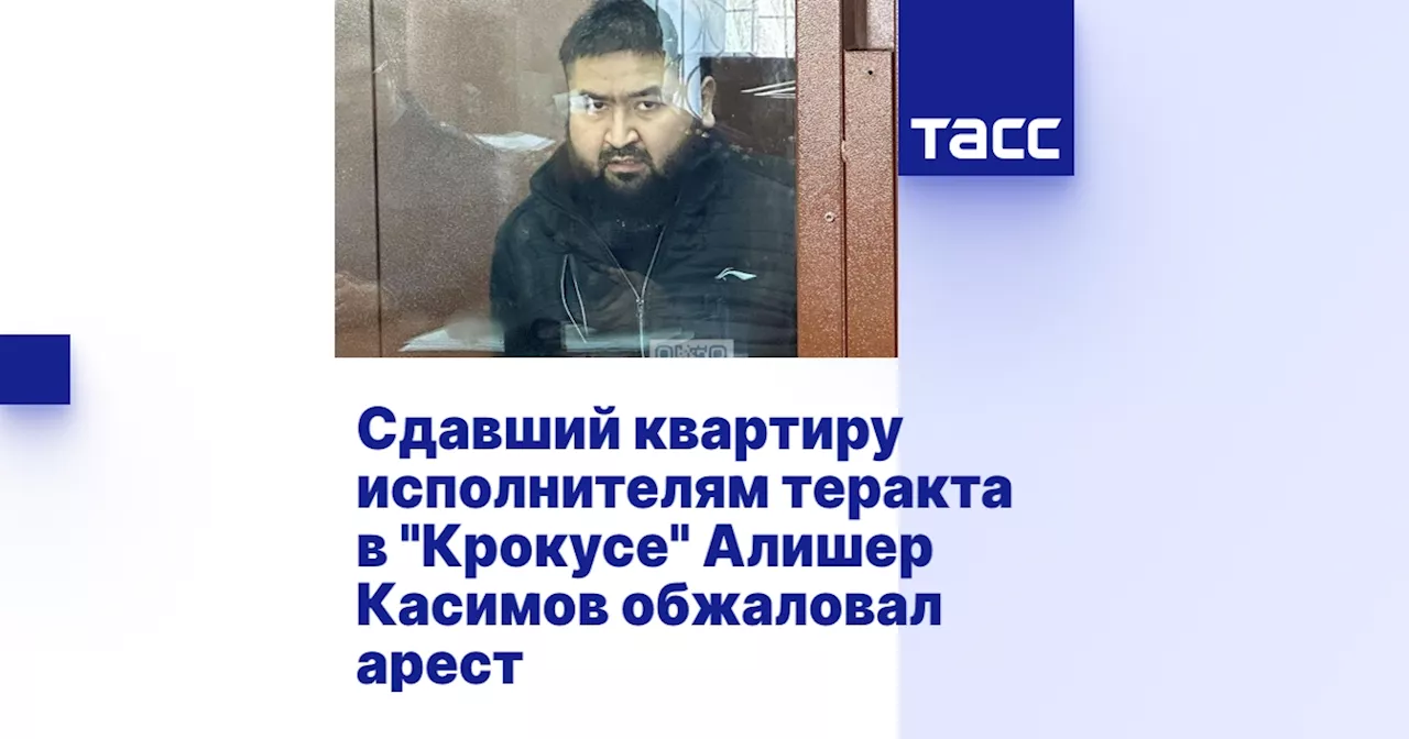 Сдавший квартиру исполнителям теракта в 'Крокусе' Алишер Касимов обжаловал арест